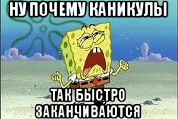 Волшебство каникул, или Где же мой отдых? 🎄✨